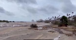 Hurricane Hilary Unprecedented Storm
