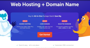 Web Hosting + Domain Name