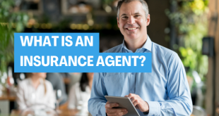 What Is an Insurance Agent 2024